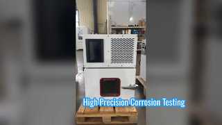 Armoire d'essai au brouillard salin de paillasse, testeur de corrosion pour vis, ressorts, pièces galvanisées
